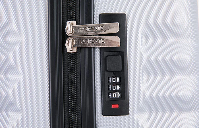 Radiating Stripes Abs Luggage